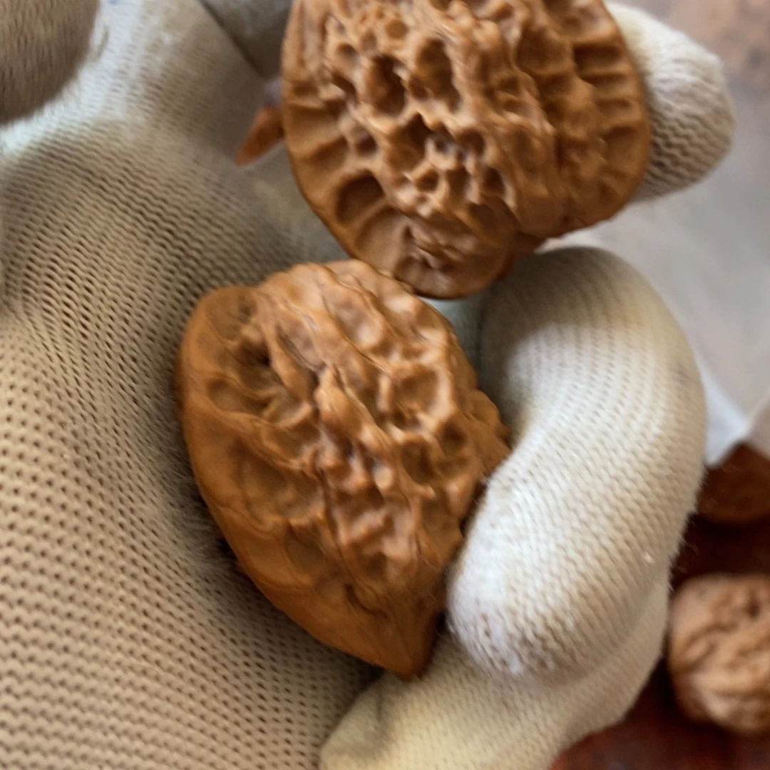 老*秦岭南侧和东北的山