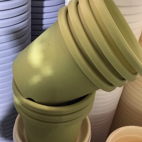 树脂四季3号6个无托果绿