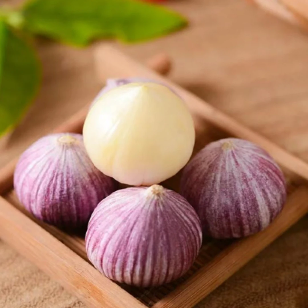 026全州枧塘紫皮独蒜