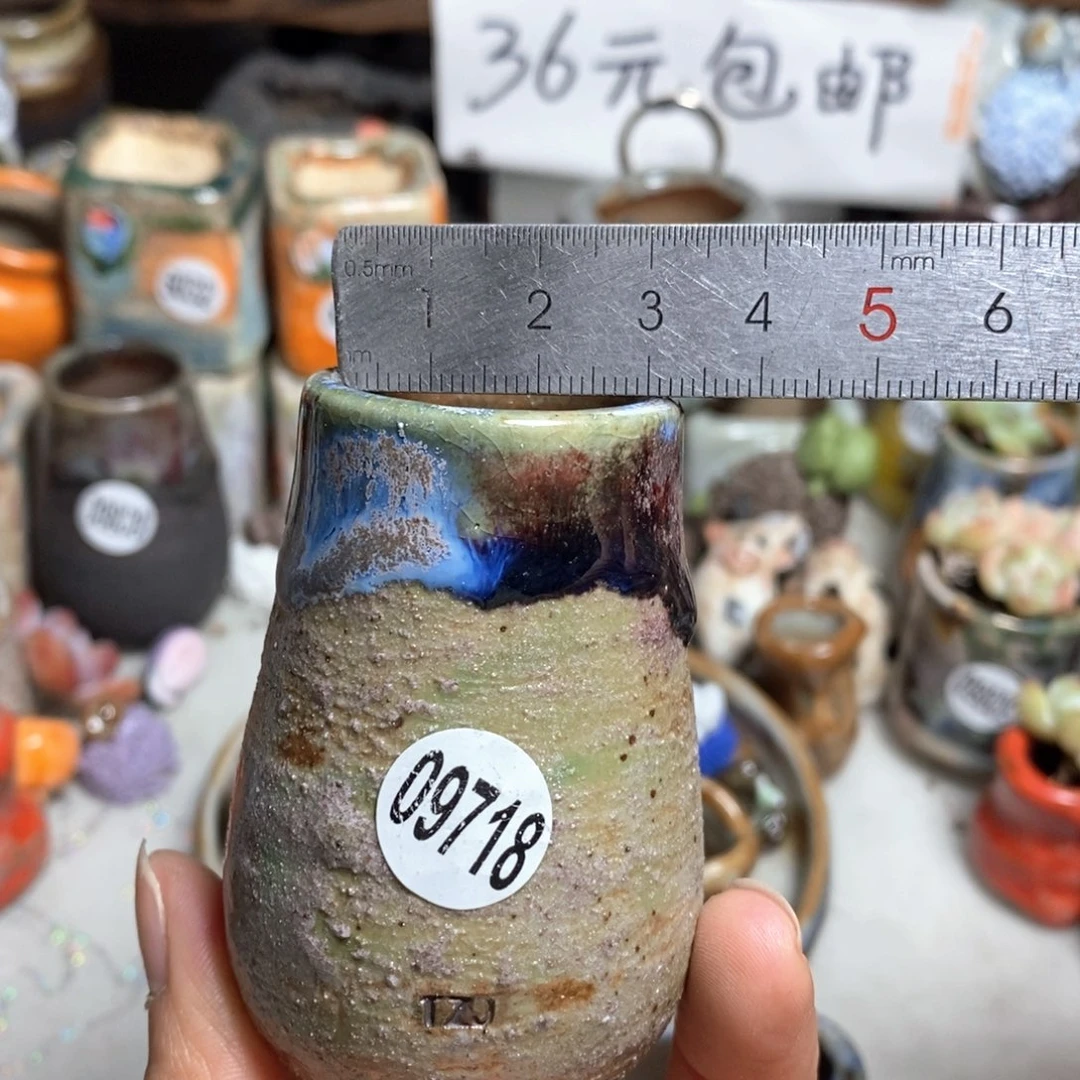 花盆拍5送一个小礼物
