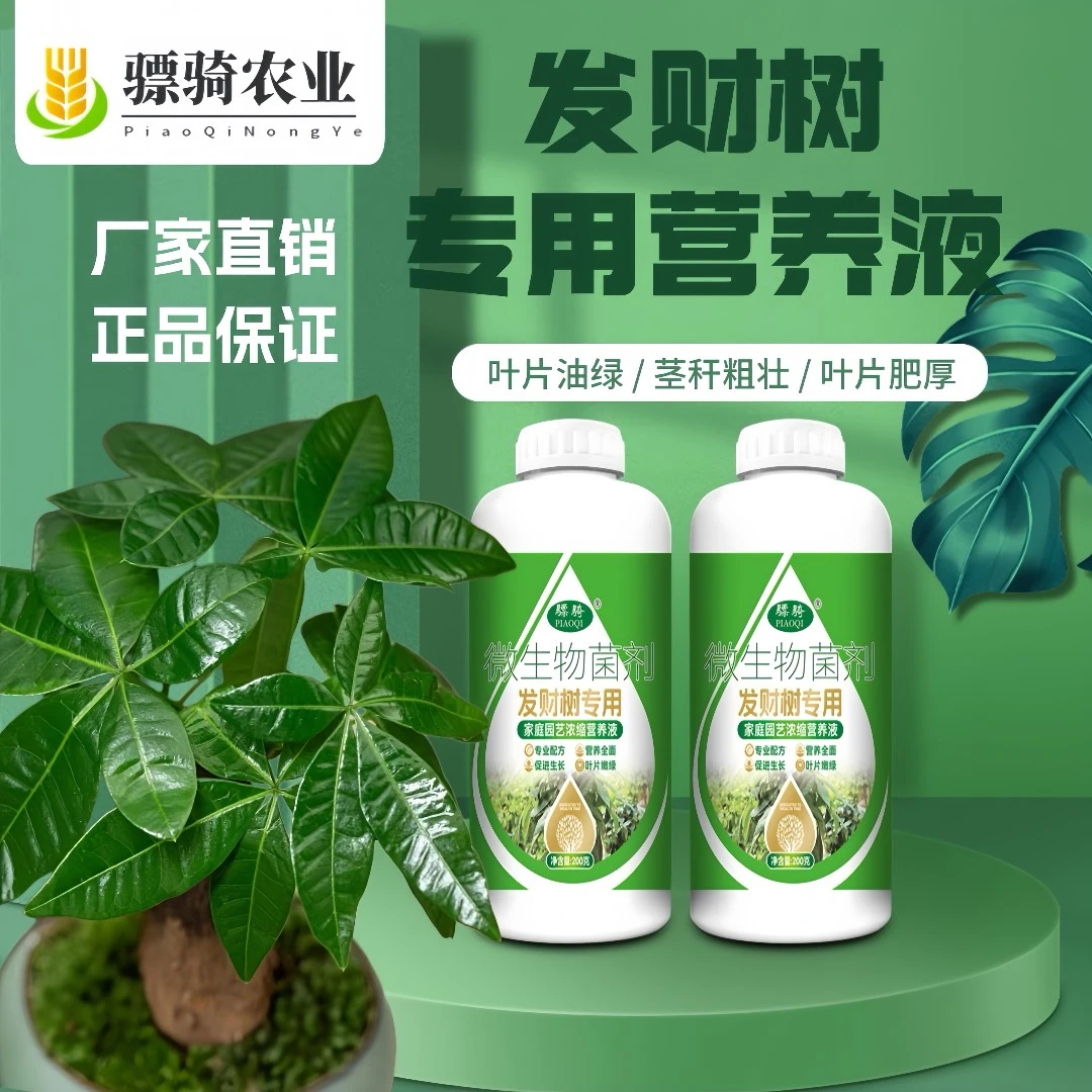 【发财树专用】200克发财树专用营养液生根疏松配方均衡土培适用