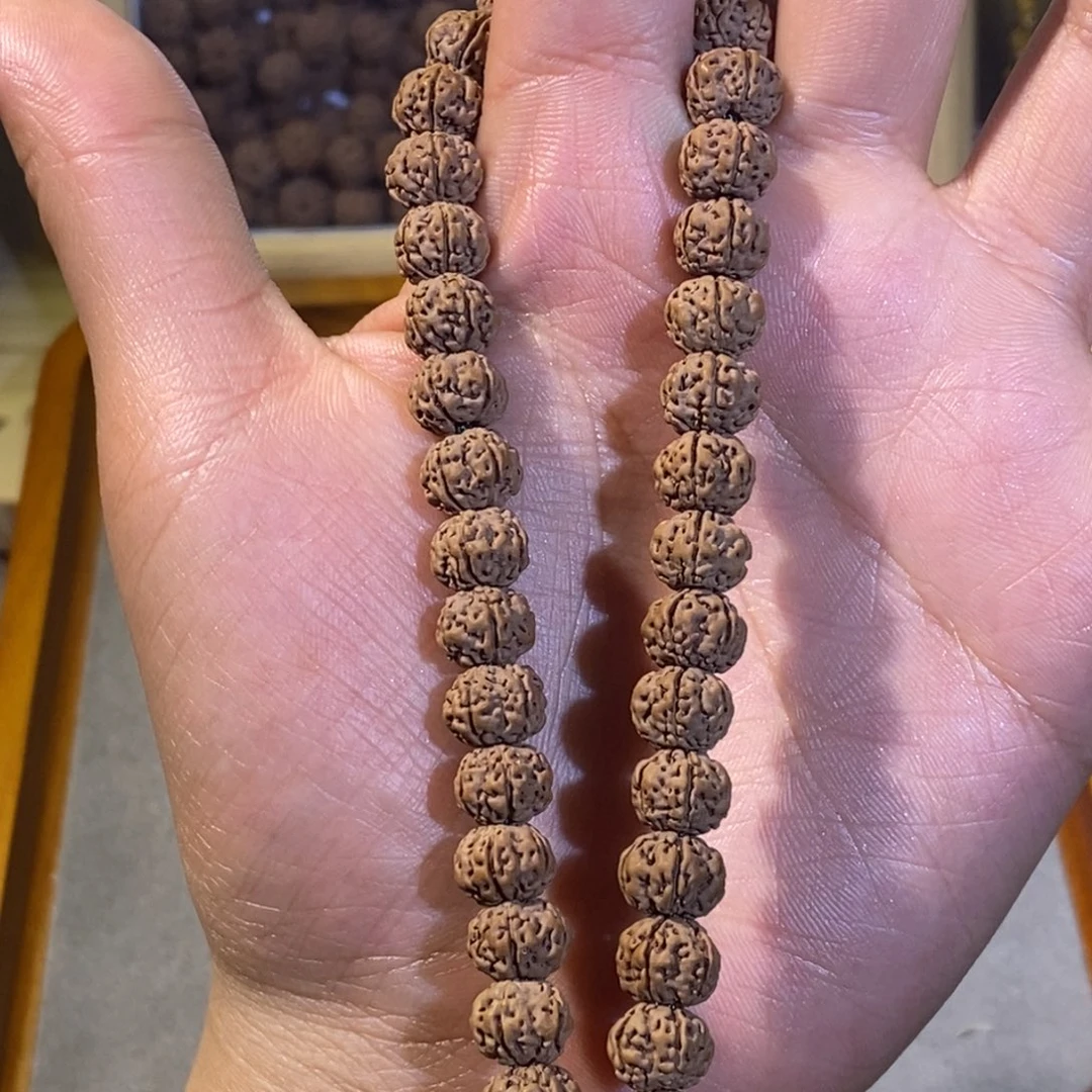 金刚菩提手串老树梅花手持