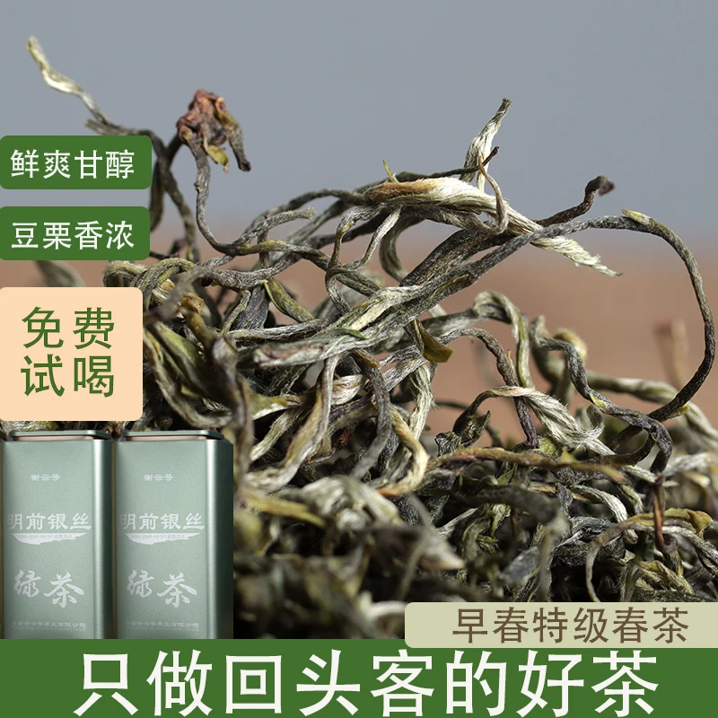 2025年新茶正宗特级精品手工头采高山精品春茶春芽厂家直销自产