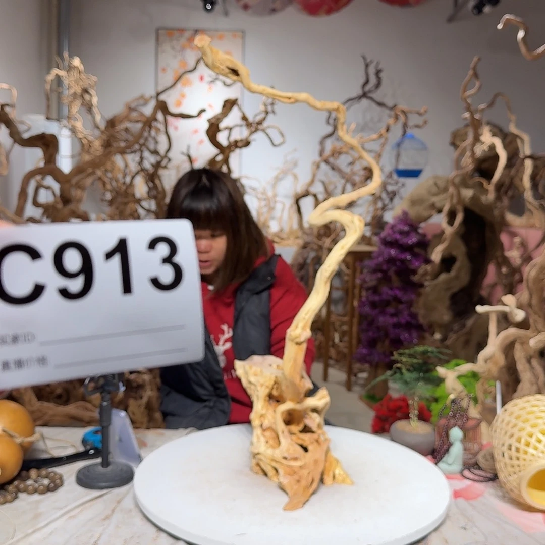 风车木（黑檀木）憨*