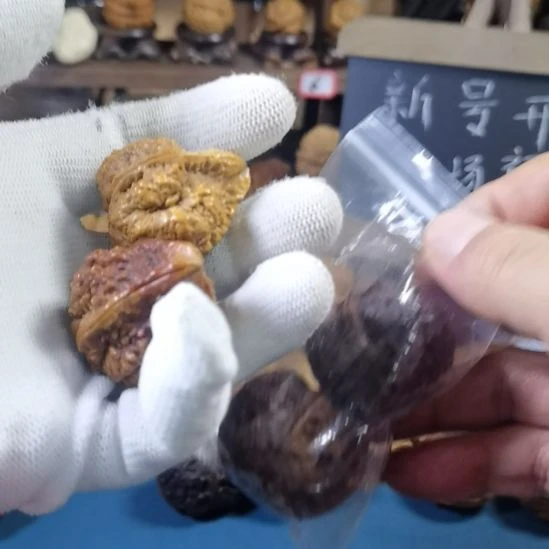 隆***6文玩核桃吊坠金蟾塔