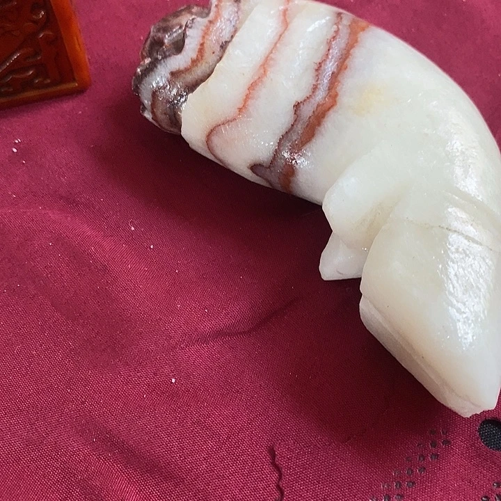 陶瓷我也不想去的东西