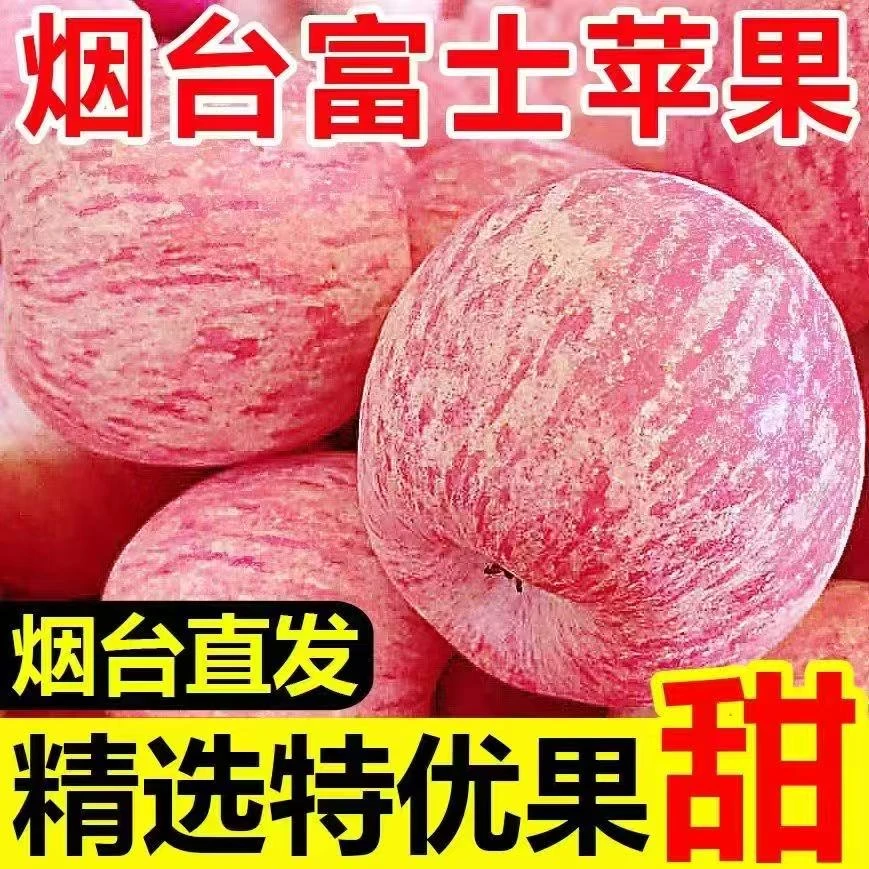 【2025年果园直发果】山东烟台栖霞红富士苹果新鲜脆甜多汁Y001