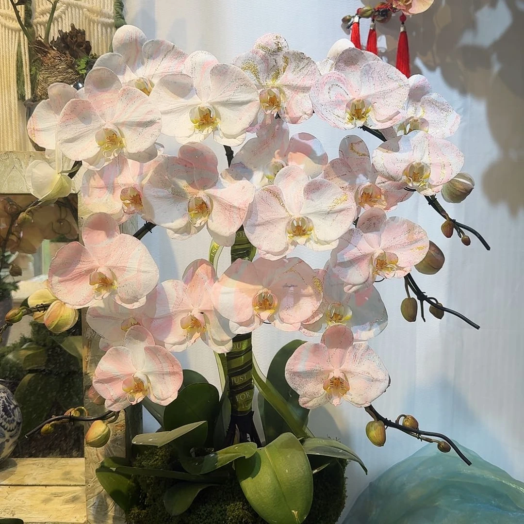 完全开放一物一拍