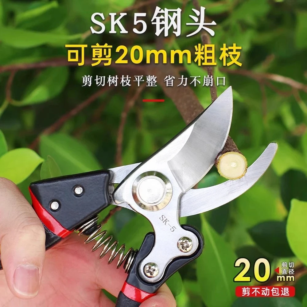 强力SK5修剪树枝剪刀修剪果树枝花枝专用园艺剪刀粗枝嫁接工具剪