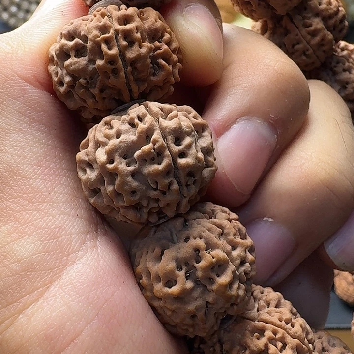 吊坠金刚菩提原生态梅花蜂王粉丝福利