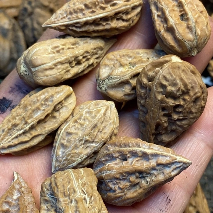 文玩核桃吊坠娜姐146