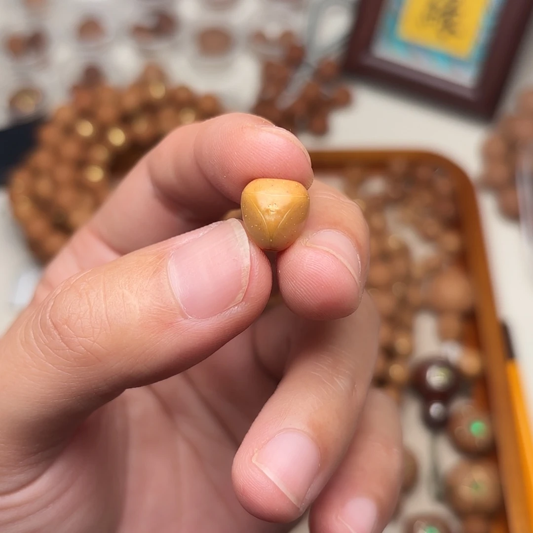 炎***焱凤眼菩提手串龙塔10+