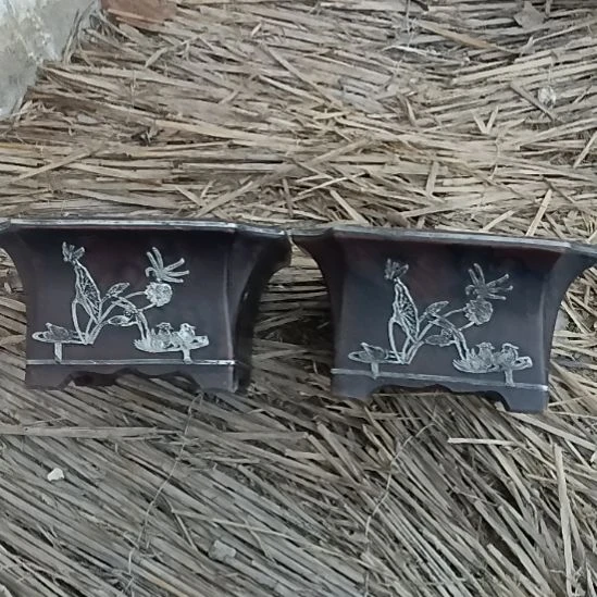 壶线*，，，，，，，，，，，，，，，，