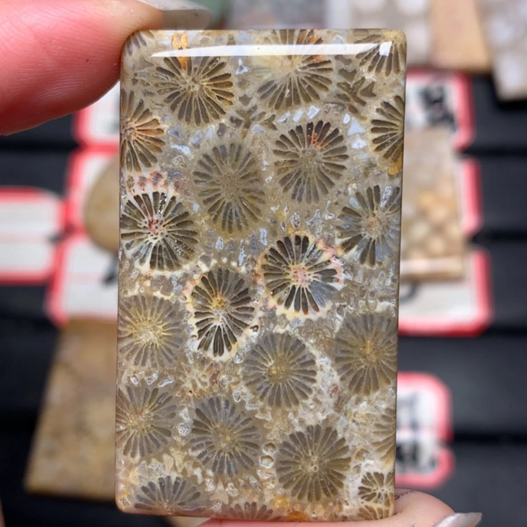 【闪购商品】硅化玉颈饰合金姜*好