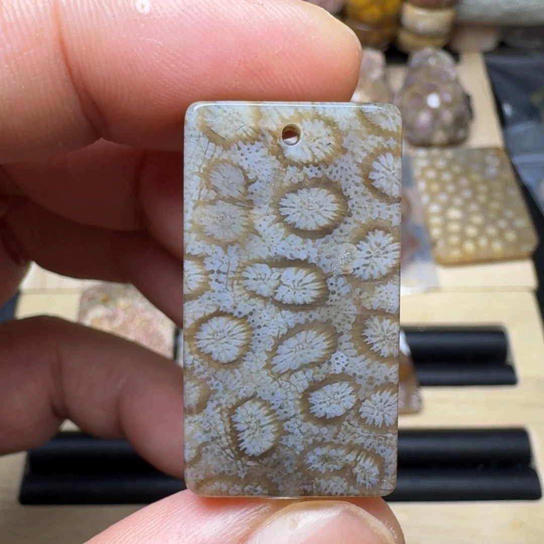 硅化珊瑚（珊瑚玉）未镶嵌纯天然色有机玉石保真色