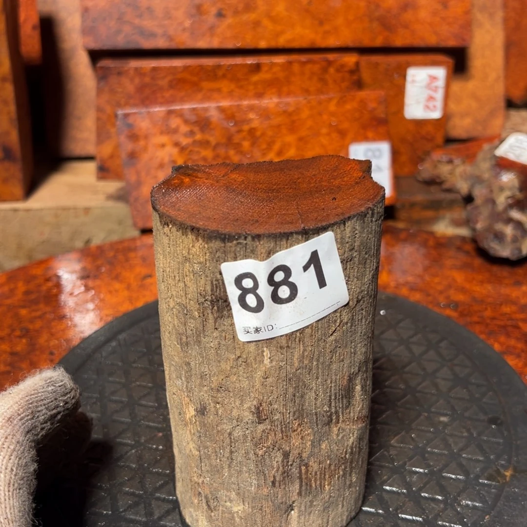 大果紫檀（缅甸花梨）