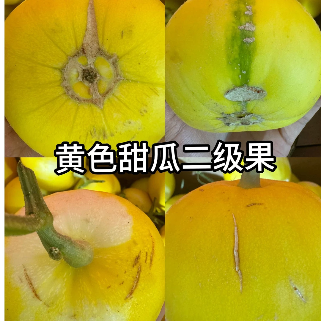 甜瓜二级果干巴大小配轻微碰伤净重4-5斤 4-12个
