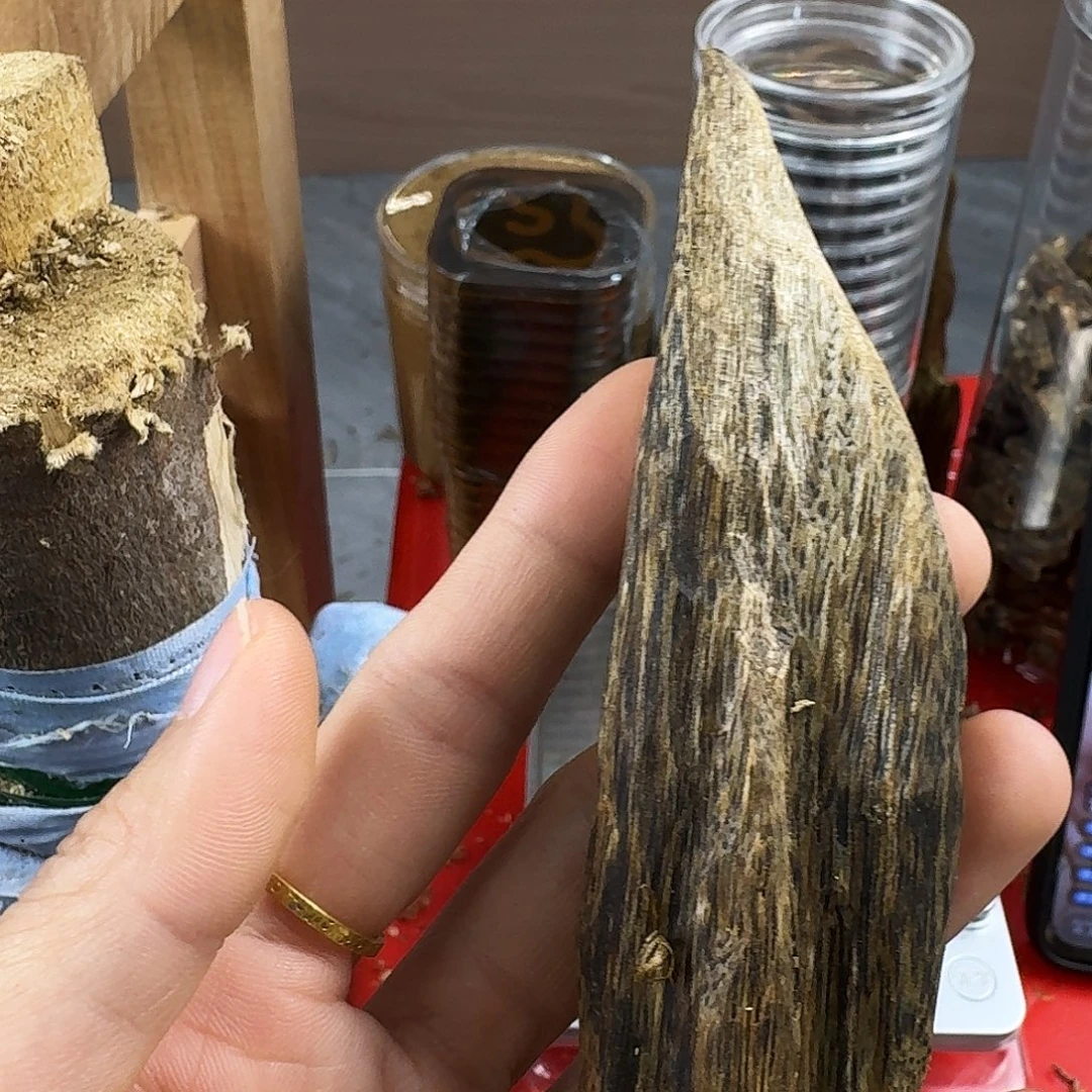 香料绿奇楠虫漏红金倪24克