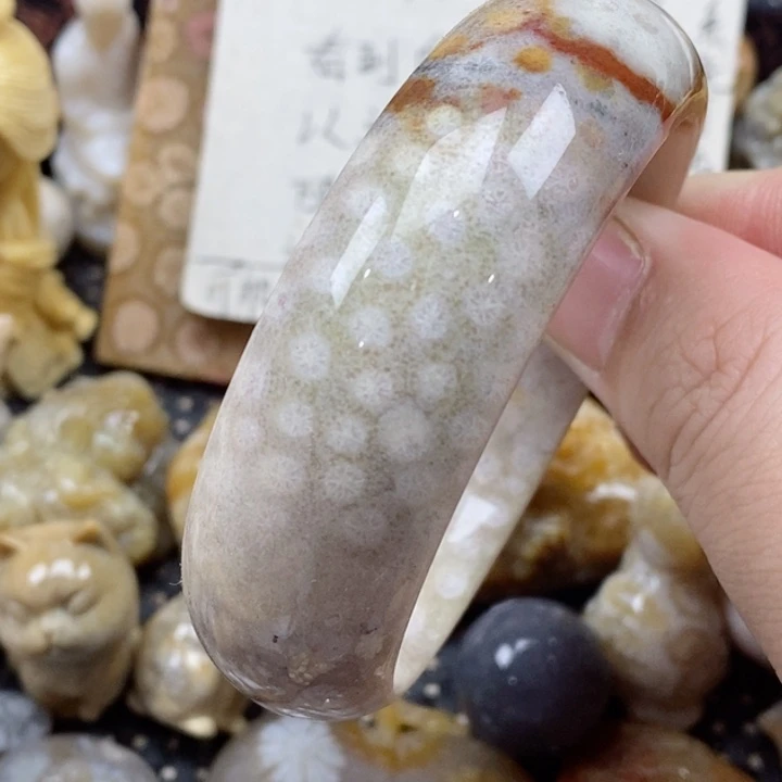 颈饰未镶嵌硅化珊瑚（珊瑚玉）有瑕