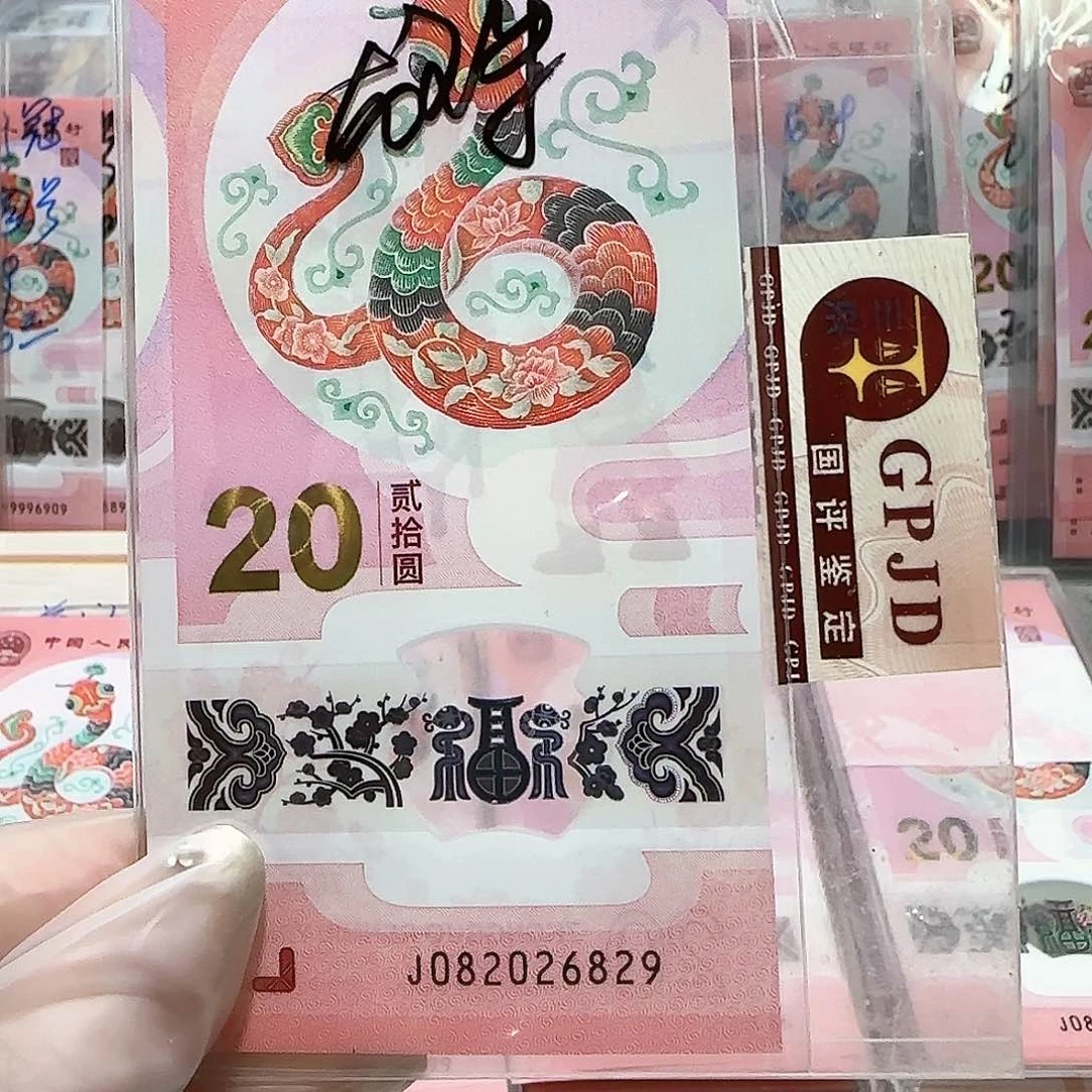 纸082026829。。。。。龙珠