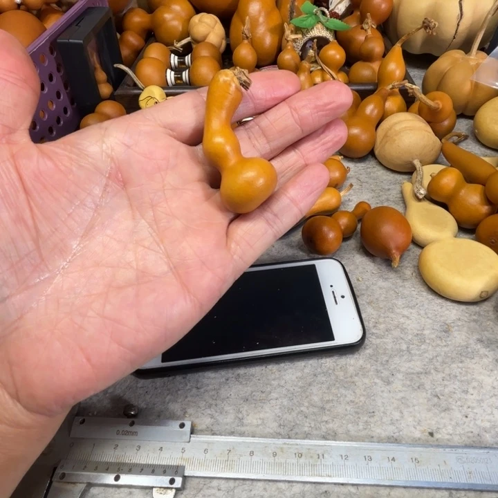 ****‧闻了一把八宝英文的一把八宝葫芦