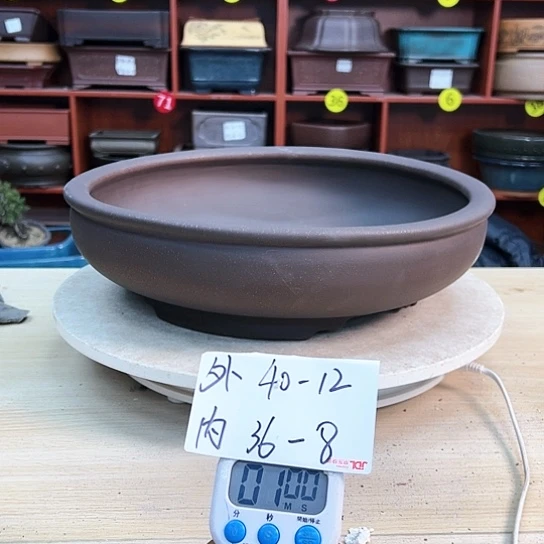 红陶大*国紫砂花盆里放的东西