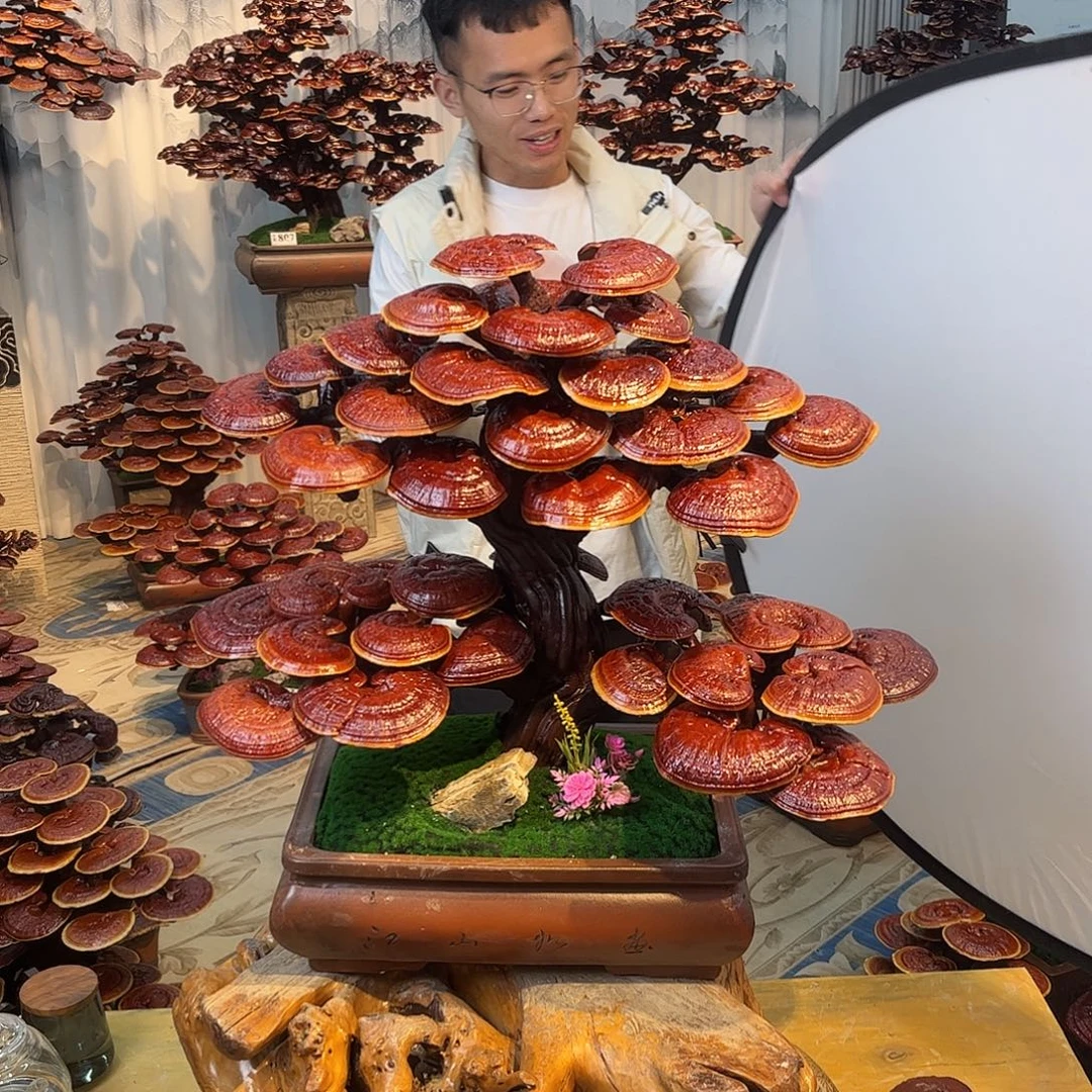 无花朵888888888888