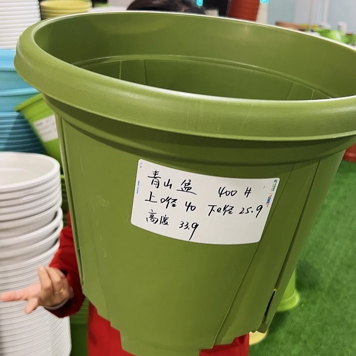 特价青山口40高34果绿无托3只