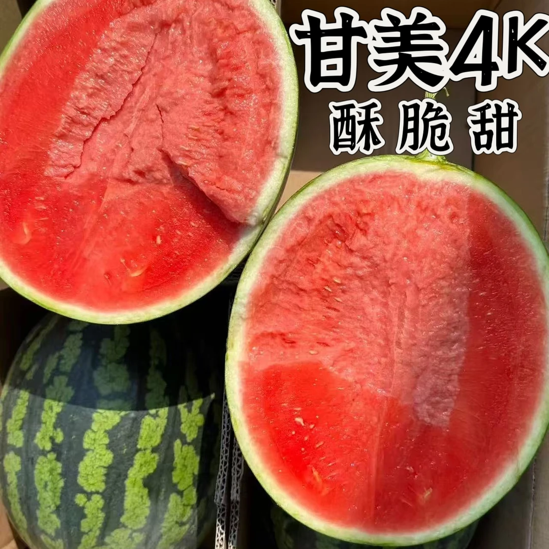 【顺丰京东】甘美4K西瓜脆甜多汁无籽西瓜当季新鲜时令水果现摘A
