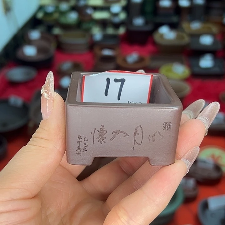 花盆紫砂紫泥花盆雅致