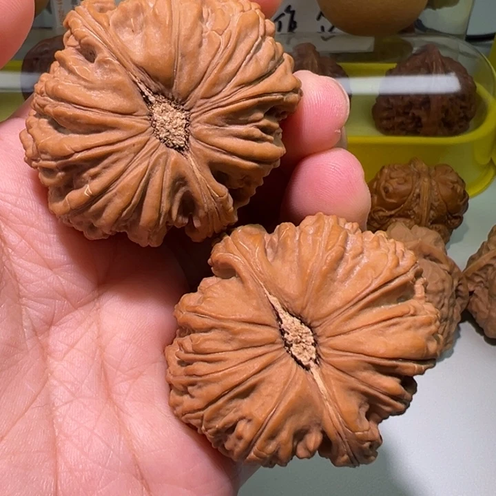 文玩核桃把件白狮子