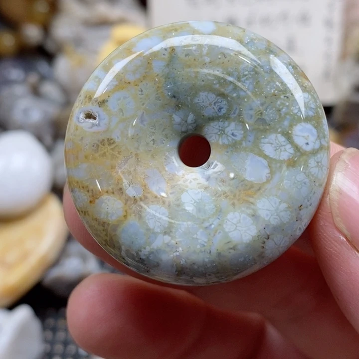 颈饰未镶嵌硅化珊瑚（珊瑚玉）