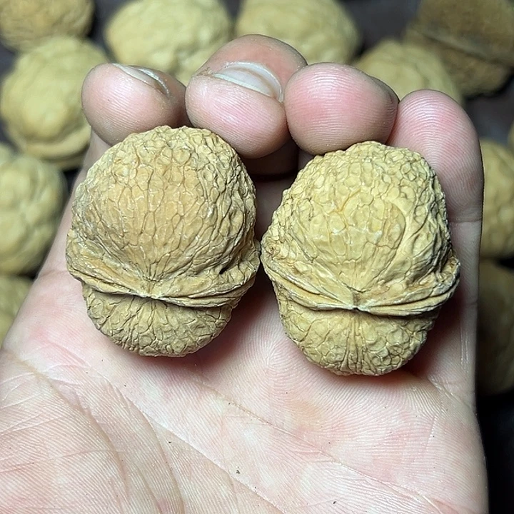 文玩核桃把件44号蛇皮纹元宝