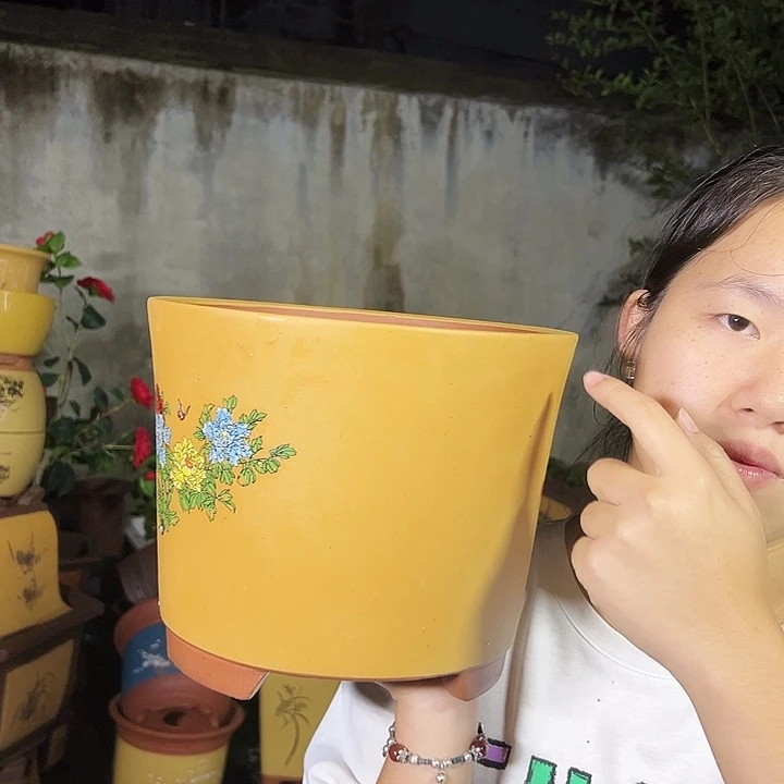 花开富贵特大号一个