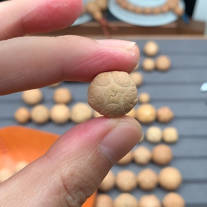 吊坠凤眼菩提特价16+五星，非质量问题开孔不退