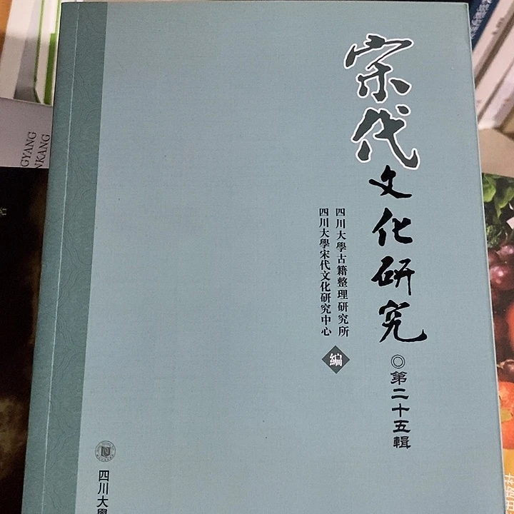 微瑕  宋代研究文化