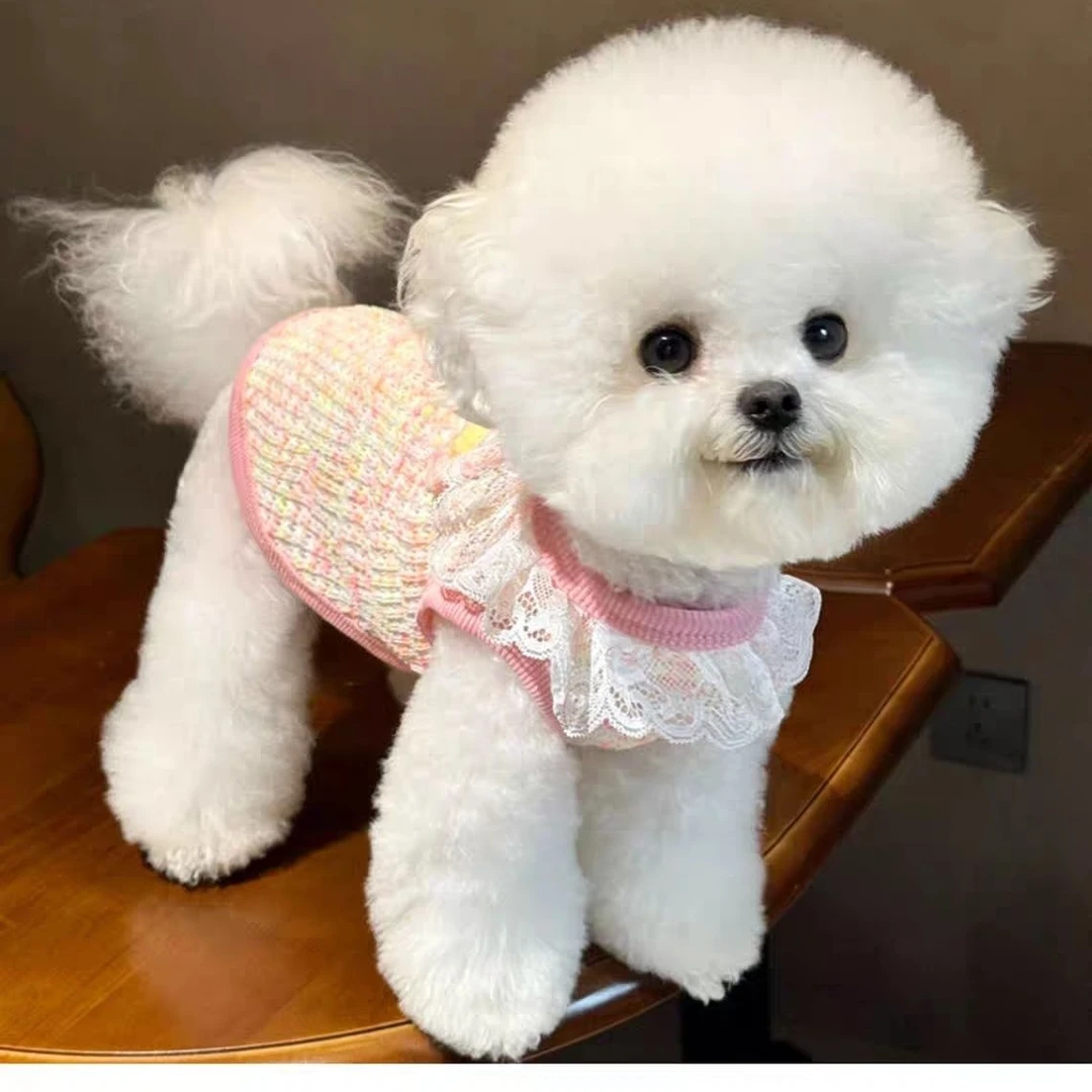 秋季新款宠物针织背心可牵引狗狗衣服猫泰迪比熊猫咪仙女公主风yj