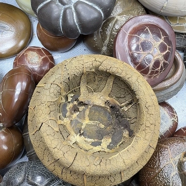 星***边石材龟纹石最低哥