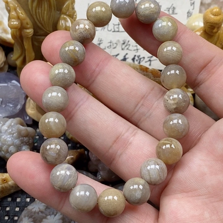 颈饰未镶嵌硅化珊瑚（珊瑚玉）