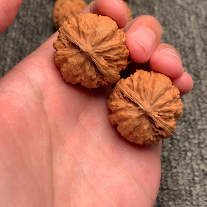 文玩核桃吊坠霸王龙。