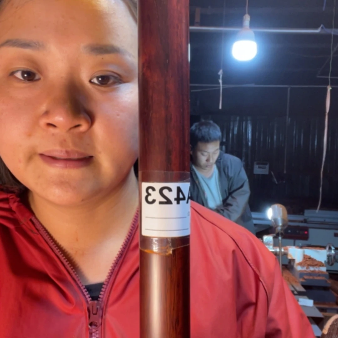 【闪购商品】风车木（黑檀木）科****Y423