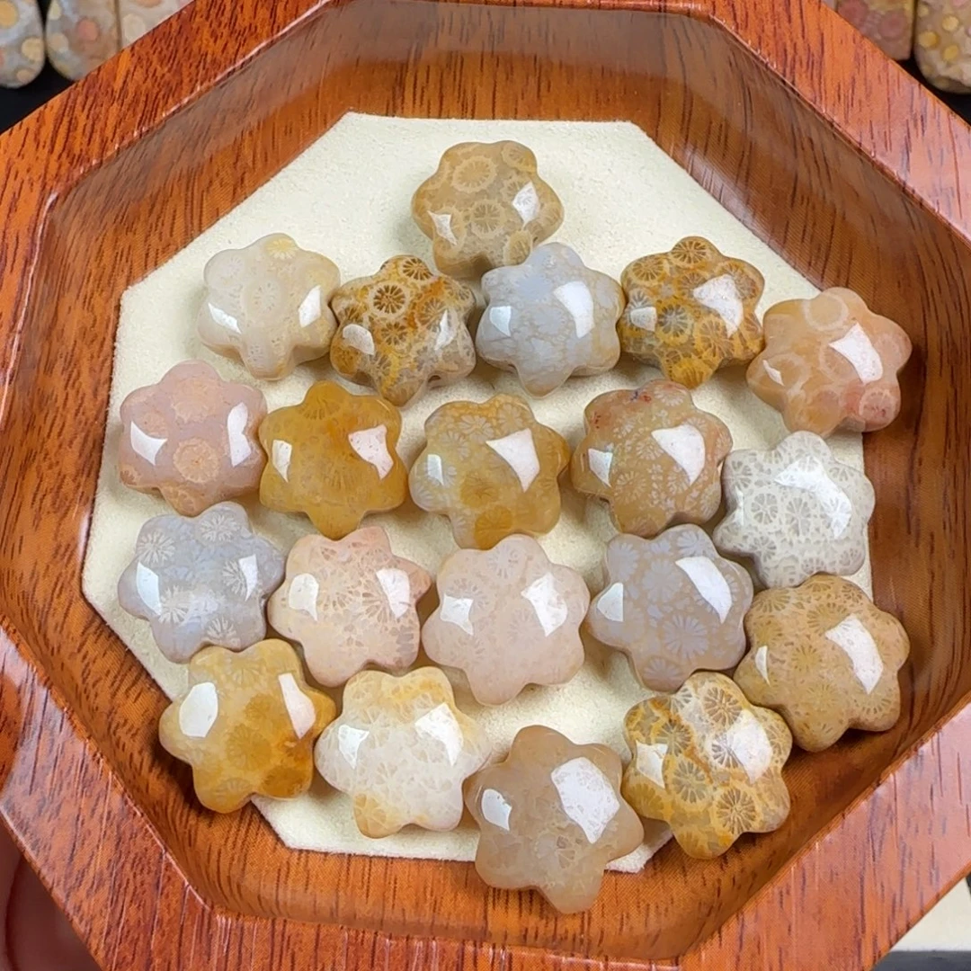 未镶嵌手链硅化玉颗颗花小星芒