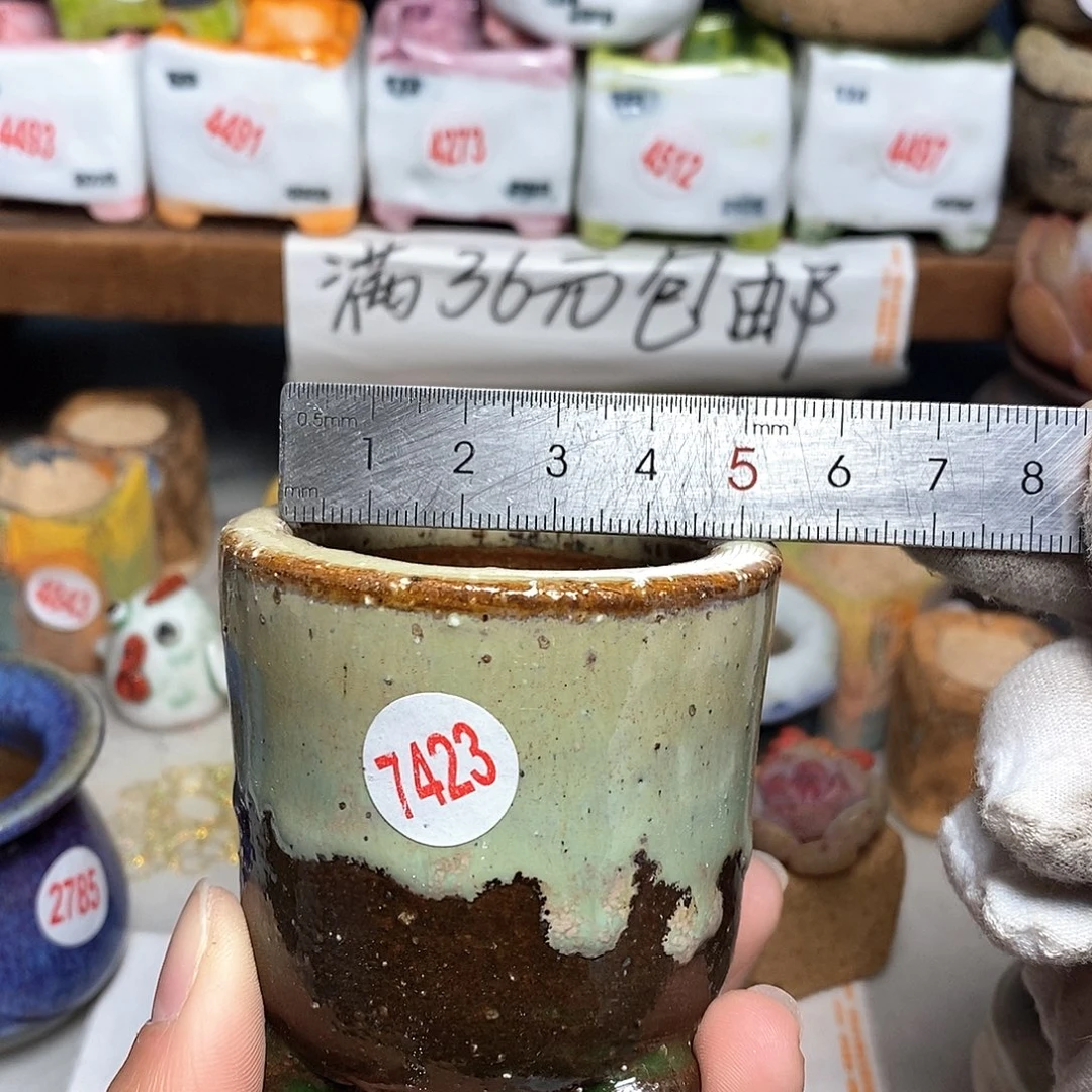 红陶拍5送一个小