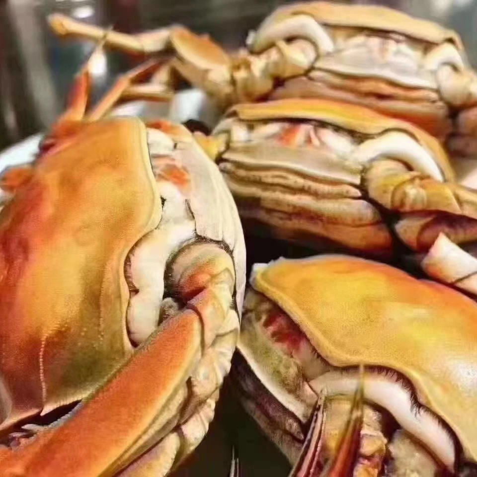【河蟹】河蟹母3斤，介意爪少勿拍，一袋7-13只，单只2.两以上，死亡一只包赔