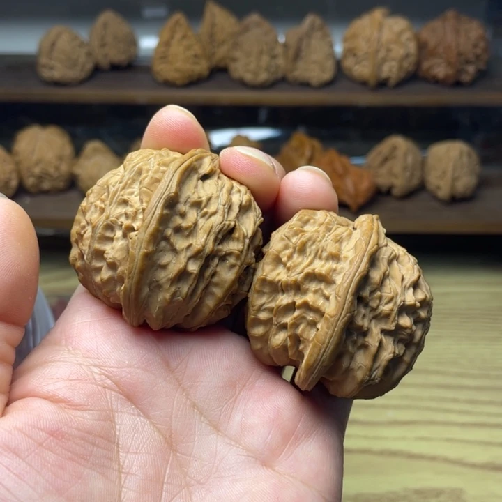 核桃白狮子半壁修33.43.43