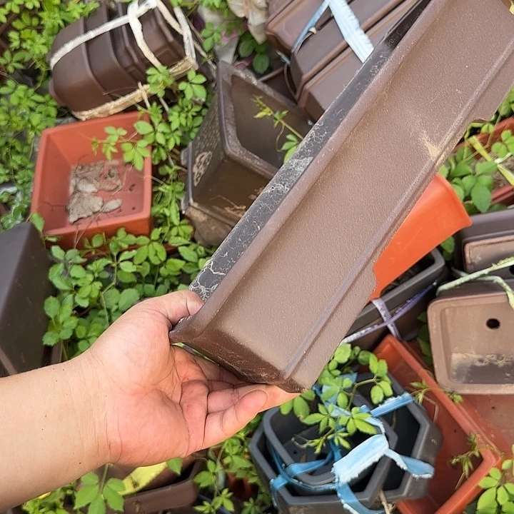 这几句真的好好哭一整集