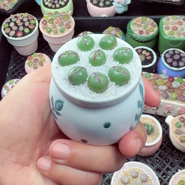 1022零下地区记得拍保温箱