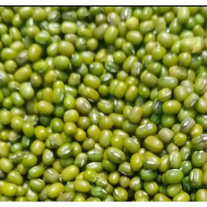 农家新绿豆 皮薄 适合熬粥煲汤 营养丰富(非土特产专用链接)