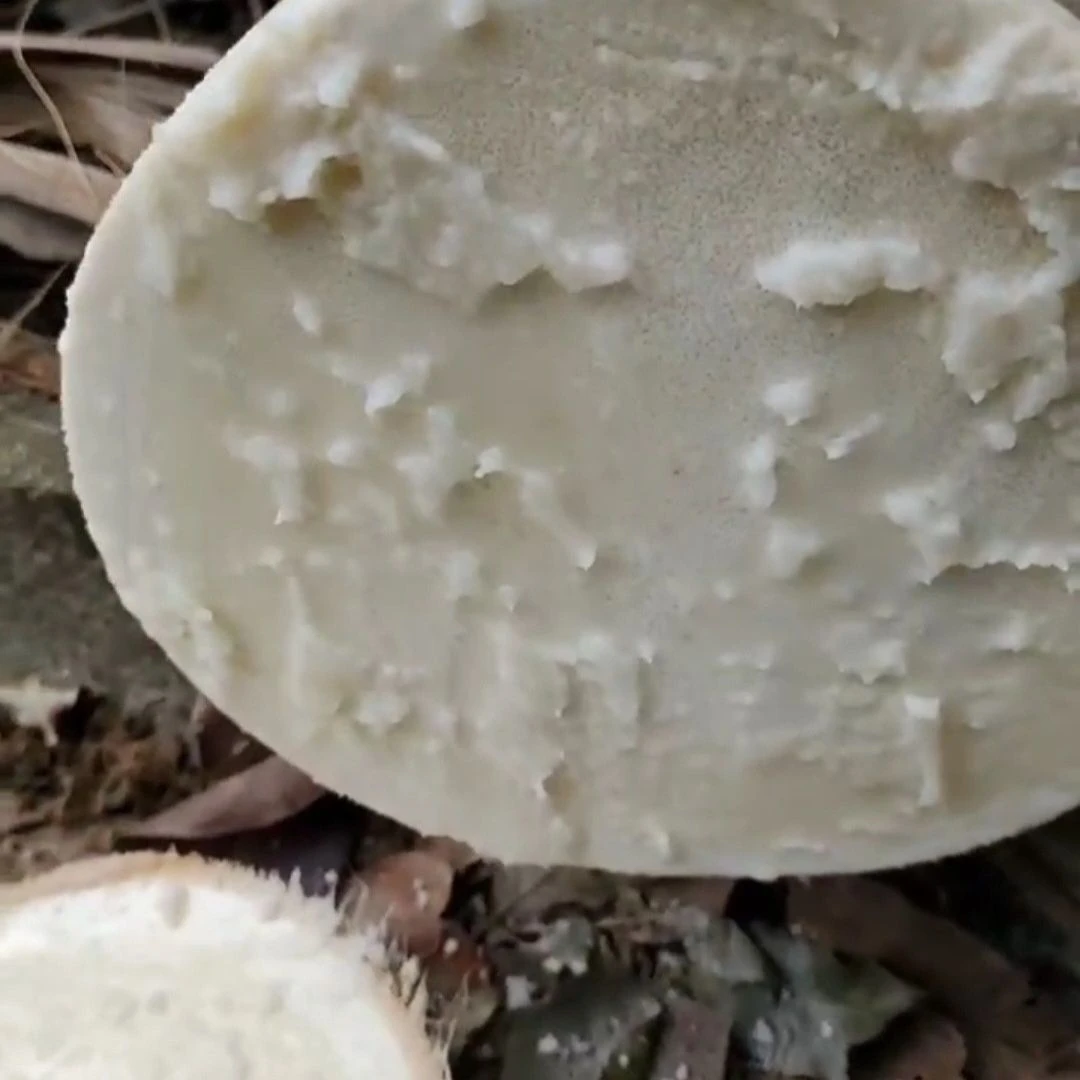 蜂蜜牛奶椰子芯椰树芯树心包甜口感清脆生吃煲汤源头现砍现发