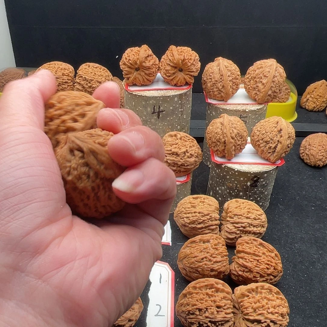 文玩核桃把件S*Y南疆文玩核桃把件